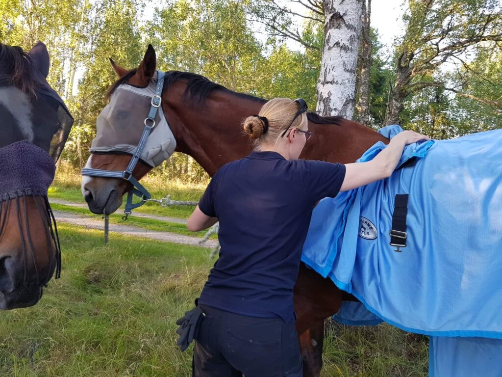 Sommarbete på Mälby